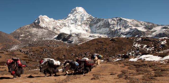 Nepal - Trekking sull' Everest  2